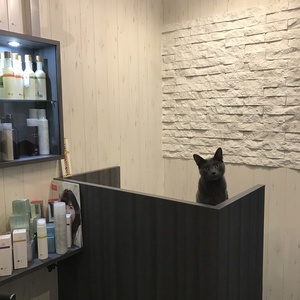 3月の営業☆